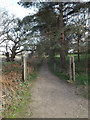 TM4056 : Suffolk Coast Path at Iken Cliff Picnic site by Geographer