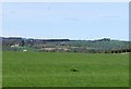 Looking across the River Wansbeck  valley