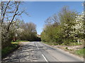 TM2971 : B1117 Vicarage Road, Laxfield by Geographer