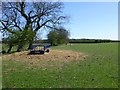 The public bridleway alongside the hedge