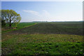 Fenland fields near Shippea Hill