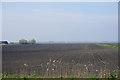 Fenland fields near Grosvenor House Farm