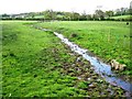 Stream by Ashdod Farm