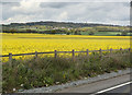 View Towards Langdon Hills