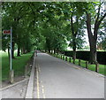 Road along the SW edge of Pontcanna Fields, Cardiff