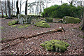 Binghill Recumbent Stone Circle (1)