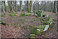 Binghill Recumbent Stone Circle (4)