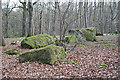 Binghill Recumbent Stone Circle (5)