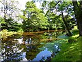 River Carron downstream of Dunipace Bridge [2]