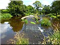 River Carron, Dunipace Weir