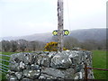 On the Taith Ardudwy Way