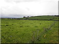 Cavanalee Townland