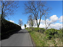 H4269 : Loughmuck Road, Loughmuck by Kenneth  Allen