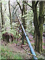 Pipeline bridge near Golitha Falls