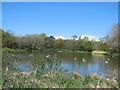 Decoy Pond, Hampden Park