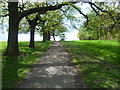 Path uphill in Shrewsbury Park