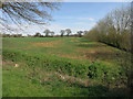 Farmland by Lodge Cottages 