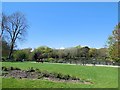 TQ5901 : Hampden Park by Paul Gillett