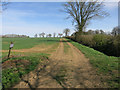 Footpath from Henham Lodge