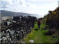 Walking above Barmouth