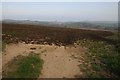 Arable field near Abbotsham