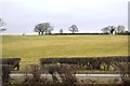 Farmland by the A470