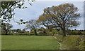 Path across New Field towards Pudding Pie Nook