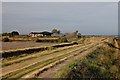 Haymaking on the seawall