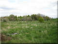 Derelict land off Wilford Lane