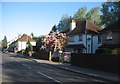 Houses in Union Street