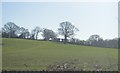 Farmland near Robinson