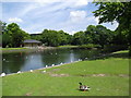 Lake at the Pavilion Gardens