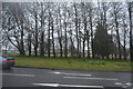 Wooded central reservation, A386