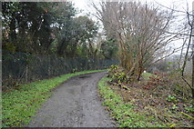 SX5061 : Footpath to West Wood by N Chadwick