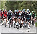 Team Sky head the peloton