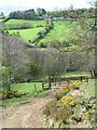 Across the valley of Stonegate Beck