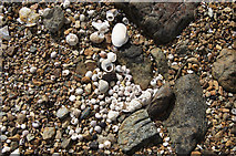 HP6208 : Shells on the shore, Gerdie, Baltasound by Mike Pennington