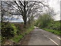 Road to Churchstanton