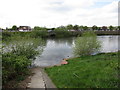 Slipway and the Trent