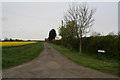 "The Moor": road to Moor Farm, Snitterby