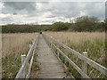 Boardwalk on the Wales Coast Path, Margam Moors