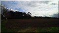 Field near Easter Brae