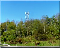 SP2365 : Telecoms Mast at Little Nunhold Farm by Anthony Parkes