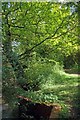 Footpath & Stream