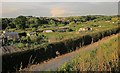 Allotments near Buxton