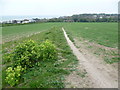 Path towards Kingsdown