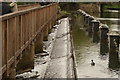 View of the weir between the breakwater and path on the River Lea #2