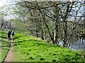 Six  Dales  Trail  alongside  the  River  Ure