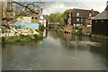 View of the River Lea from Bull Plain #4