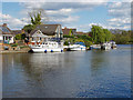 River Thames, Lower Halliford